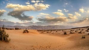 Nature and landscape footage of Israel — the Negev Desert