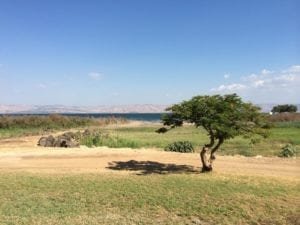 North Israel & Galilee stock footage