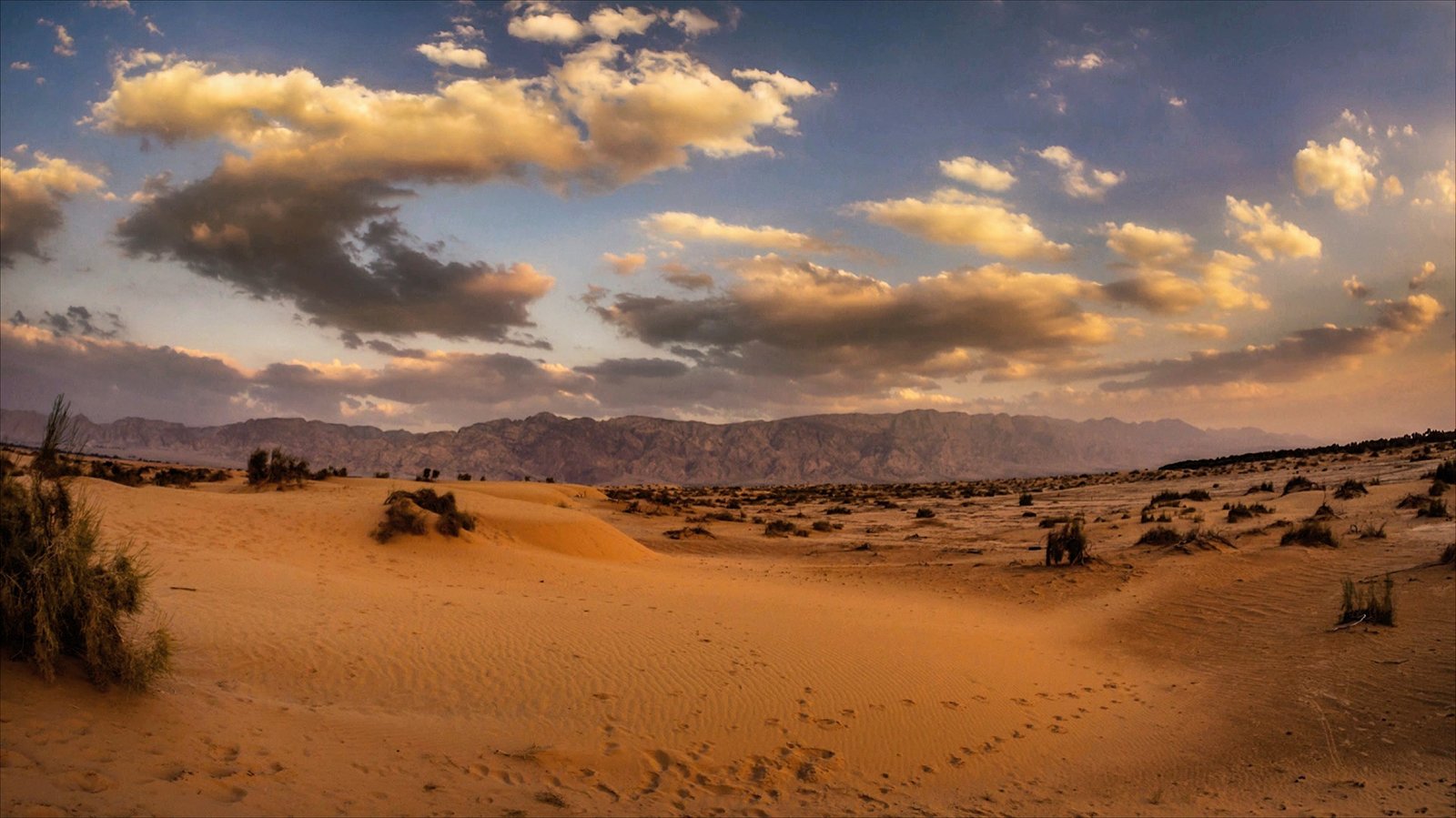 Photography Production Services in Israel